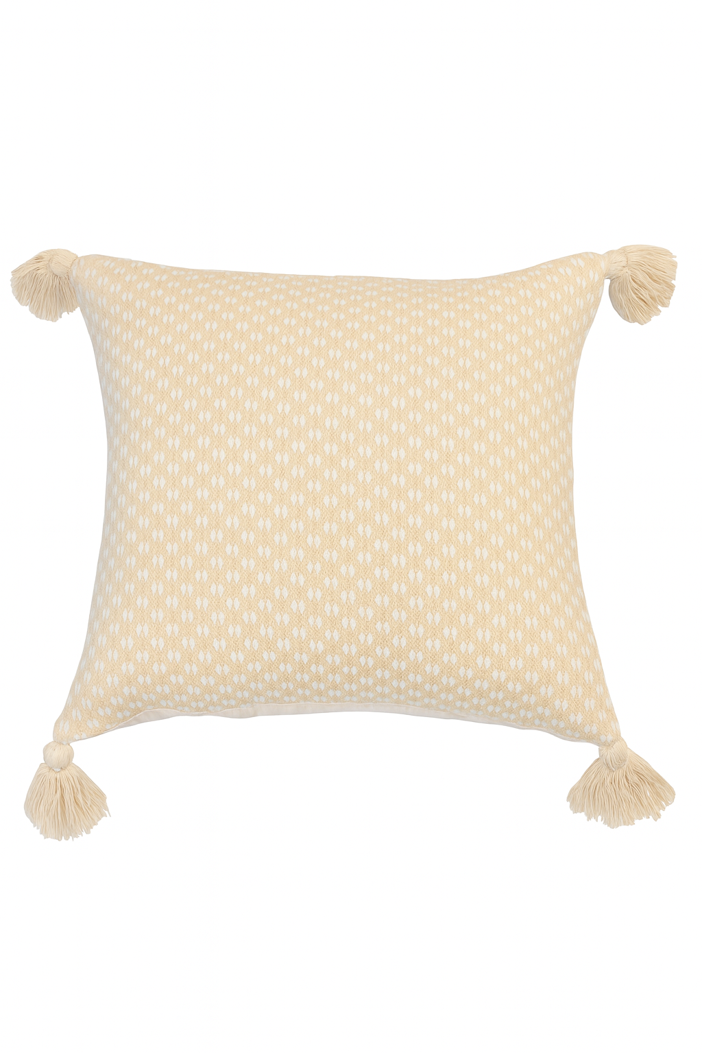 Outdoor Throw Pillow