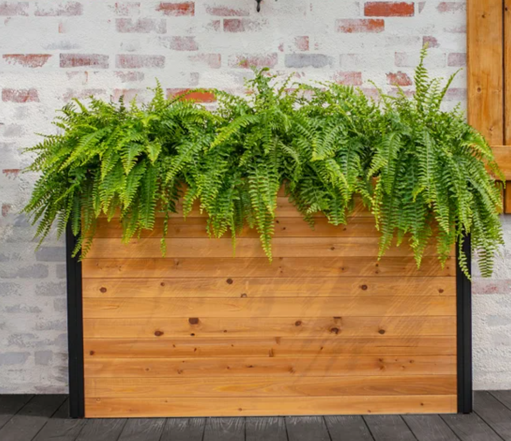 Planters